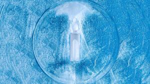 The Road Ahead for the Pharma Cold Chain