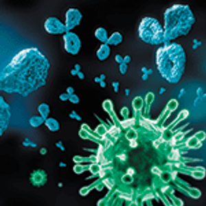 Single-Use Mixing Technology for Virus Clearance (Part 2: Compatibility, Leachables, and Scale-Up Studies)