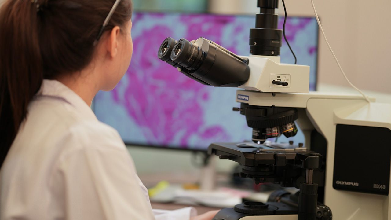 A biomedical researcher uses an AI-powered platform to analyze complex genomic data, identifying a novel biomarker for personalized medicine and accelerating future drug discovery. | Image credit: © ultramansk - © ultramansk - stock.adobe.com