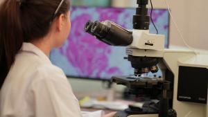 A biomedical researcher uses an AI-powered platform to analyze complex genomic data, identifying a novel biomarker for personalized medicine and accelerating future drug discovery. | Image credit: © ultramansk - © ultramansk - stock.adobe.com