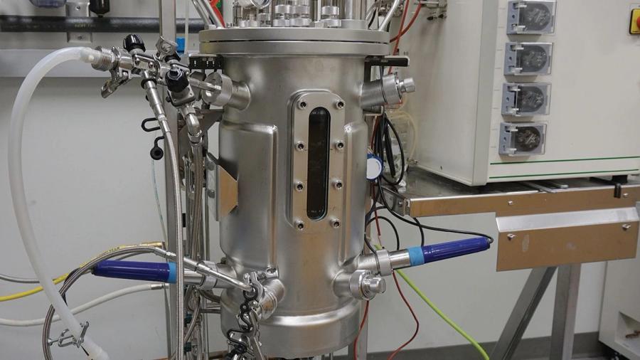 Evaluating Uses for Both Single-Use and Stainless-Steel Bioreactors; Image: PT Hamilton - stock.adobe.com