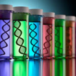 Platform Approach Speeds Process Development