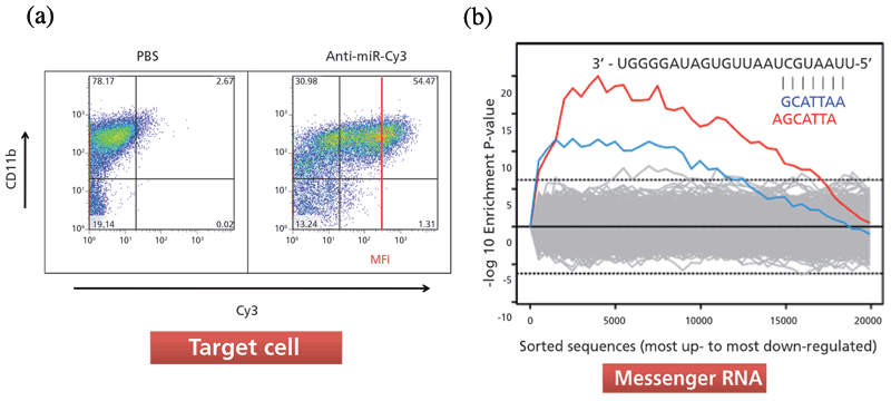 Perspectives-MicroRNA-Figure-6a-6b-605780-742606-1408614963269.gif