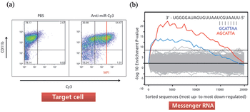 Perspectives-MicroRNA-Figure-6a-6b-605780-742606-1408614963269.gif