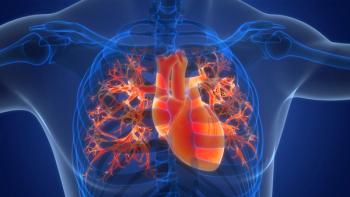 3D illustration of the human circulatory system and heart anatomy. | Image Credit: © magicmine - stock.adobe.com