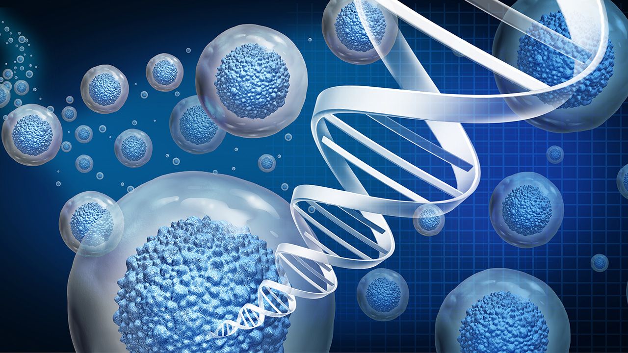 Regenerative medicine and therapeutic stem cell therapy to regrow damaged cells as treatment for disease as multicellular organisms for cellular treatment of injury or arthritis illness due to aging | Image credit: © reshidea - © reshidea - stock.adobe.com