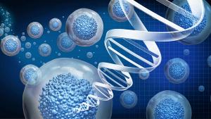 Regenerative medicine and therapeutic stem cell therapy to regrow damaged cells as treatment for disease as multicellular organisms for cellular treatment of injury or arthritis illness due to aging | Image credit: © reshidea - © reshidea - stock.adobe.com