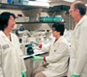 Cleaning Polyethersulfone Membranes After Ultrafiltration-Diafiltration in Monoclonal Antibody Production