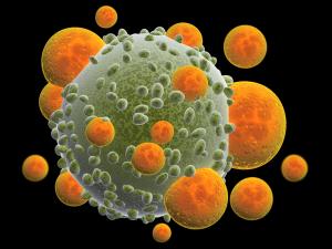 Illustration of T cells attacking a cancer cell. | Image Credit: © frenta - stock.adobe.com