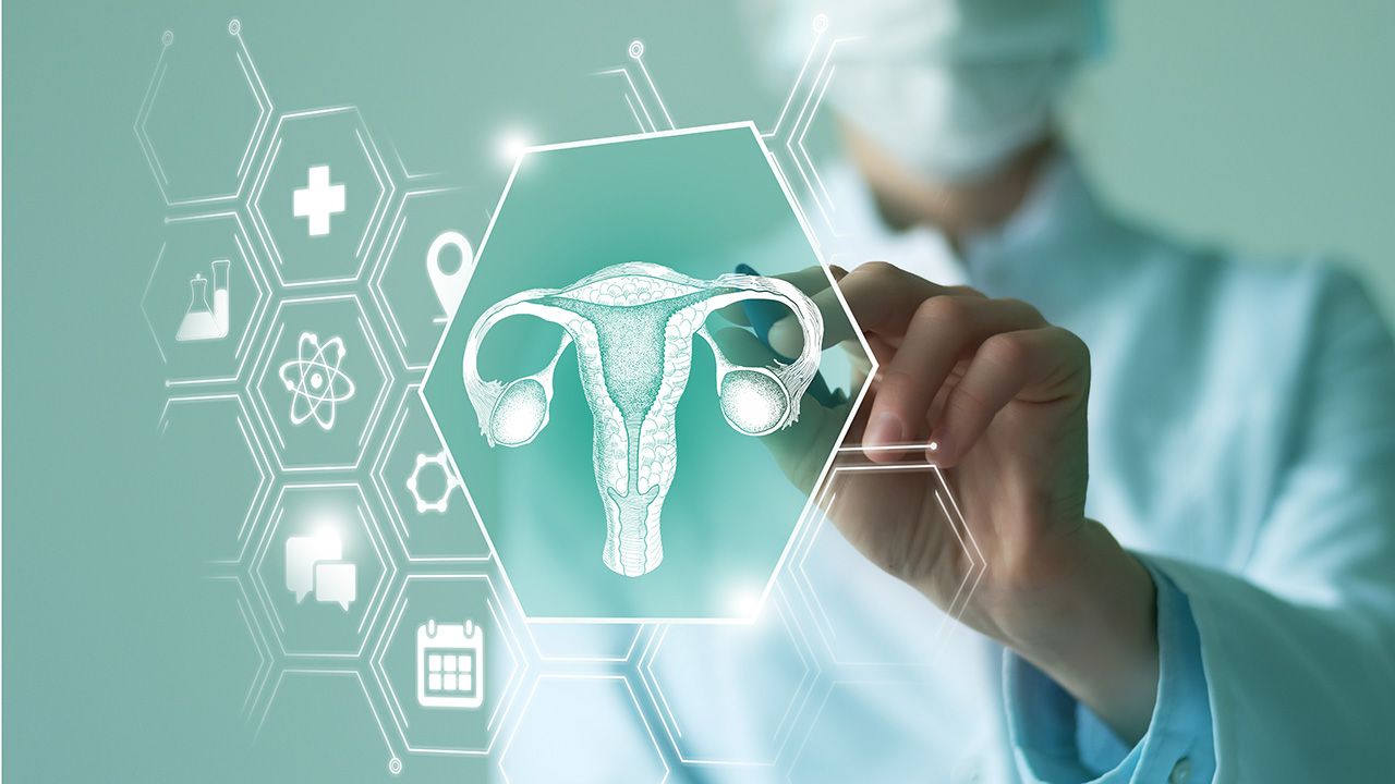 Unrecognizable female doctor holding graphic virtual visualization model of Uterus organ in hands. Multiple virtual medical icons. | Image credit: © mi_viri - © mi_viri - stock.adobe.com