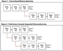 On-Demand GMP CMO Capacity through Sequential Cascade BioManufacturing