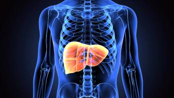 3D X-ray-style illustration of a human torso and skeleton with the liver highlighted in orange. | Image Credit: © PIC4U - stock.adobe.com