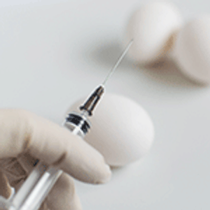 Modernizing Flu Vaccine Manufacturing