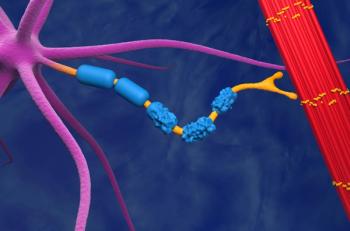 Motor neuron damaged by Amyotrophic Lateral Sclerosis (ALS) - 3d illustration closeup view | Image Credit: © LASZLO - stock.adobe.com