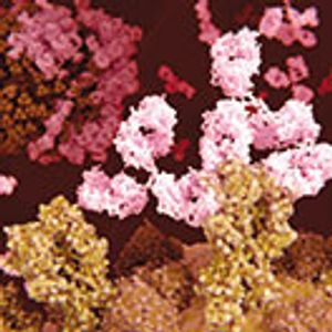 QbD in the Development of ADCs with PBD Dimer Warheads