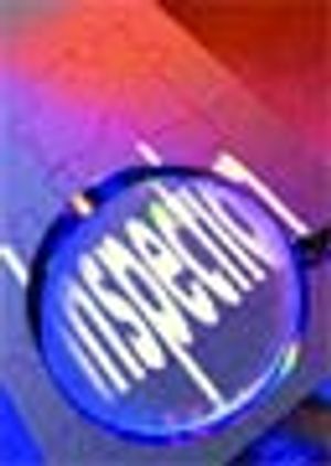 Pieces of the Inspection Puzzle: The Magnitude and Scope of Behind-the-Scenes Activities During an Inspection