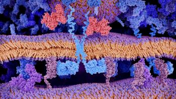 CAR-Therapy: a chimeric antigen receptor recognizes a leukemia cell | Image Credit: © Juan Gärtner - Stock.Adobe.com