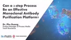 Can a 2-Step Process Be an Effective Monoclonal Antibody Purification Platform