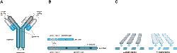 mabs-biorad-Figure1_250.jpg