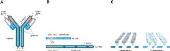 mabs-biorad-Figure1_250.jpg