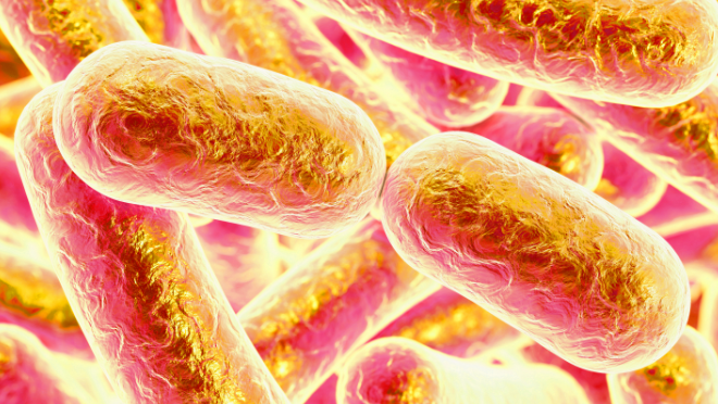 Shaping the Future of Microbial Development: From Gene to GMP
