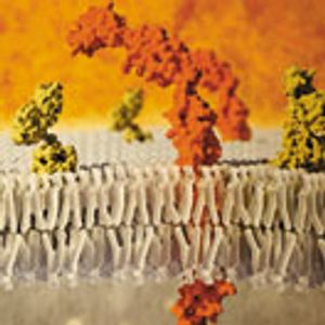 A Review of Glycan Analysis Requirements