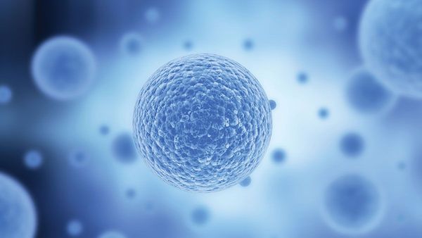 Proprietary Cell-Line Development for High-Titer AAV Manufacturing