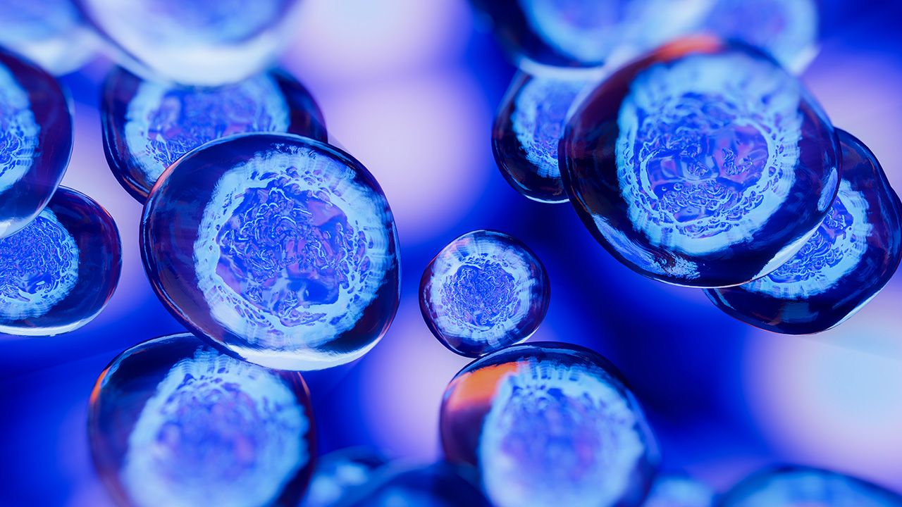 Creative image of embryonic stem cells, cellular therapy. 3d illustration | Image Credit: © pinkeyes - © pinkeyes - stock.adobe.com