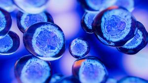 Creative image of embryonic stem cells, cellular therapy. 3d illustration | Image credit: © pinkeyes - © pinkeyes - stock.adobe.com