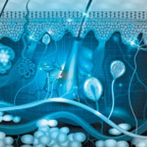 Optimizing a Unique Cancer Vaccine for Intradermal Delivery