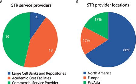 STR Profiling: Authentication of Human Cell Lines and Beyond