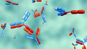 3d rendering of Bispecific antibodies or BsAbs have two distinct binding domains that can bind to two antigens or two epitopes of the same antigen simultaneously. | Image credit: © Love Employee - © Love Employee - stock.adobe.com