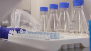 OneBio® Suite for Integrated Biologics Development