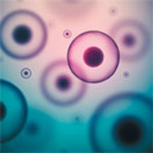 Achieving Optimal mAb Titer and Quality Through Cell Culture Media and Supplement Optimization