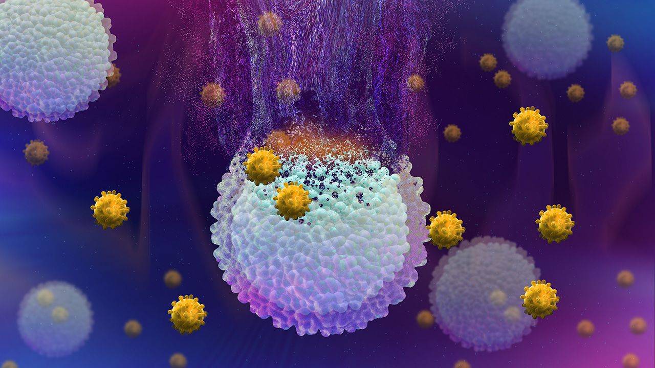 Cancer cells being destroyed by immunotherapy | Image credit: © Jennifer - © Jennifer - stock.adobe.com  