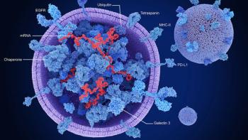 Exosomes, cross section showing proteins and mRNA | Image credit: © Juan Gärtner - © Juan Gärtner - stock.adobe.com