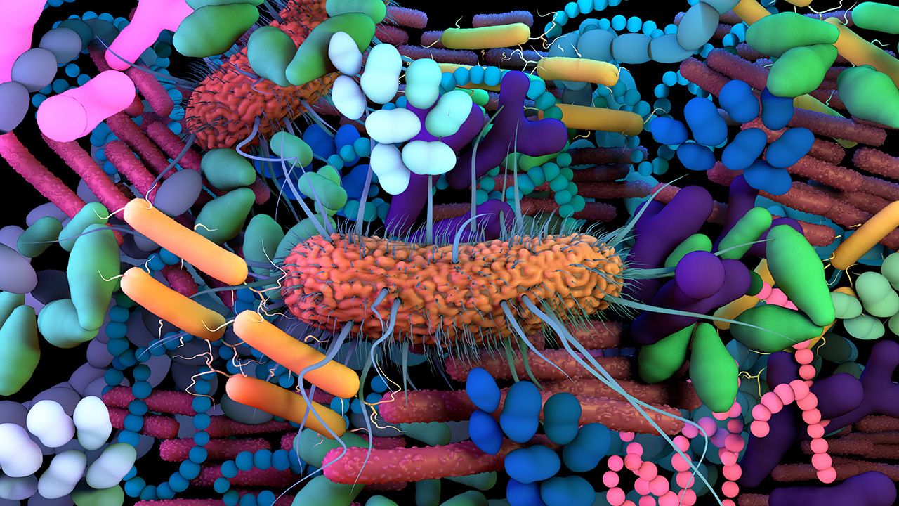 The human Microbiome, genetic material of all the microbes that live on and inside the human body. | Image credit: © Design Cells - © Design Cells - stock.adobe.com