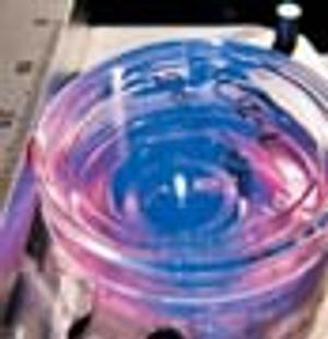 Violet Diode-Assisted Photoporation and Transfection of Cells
