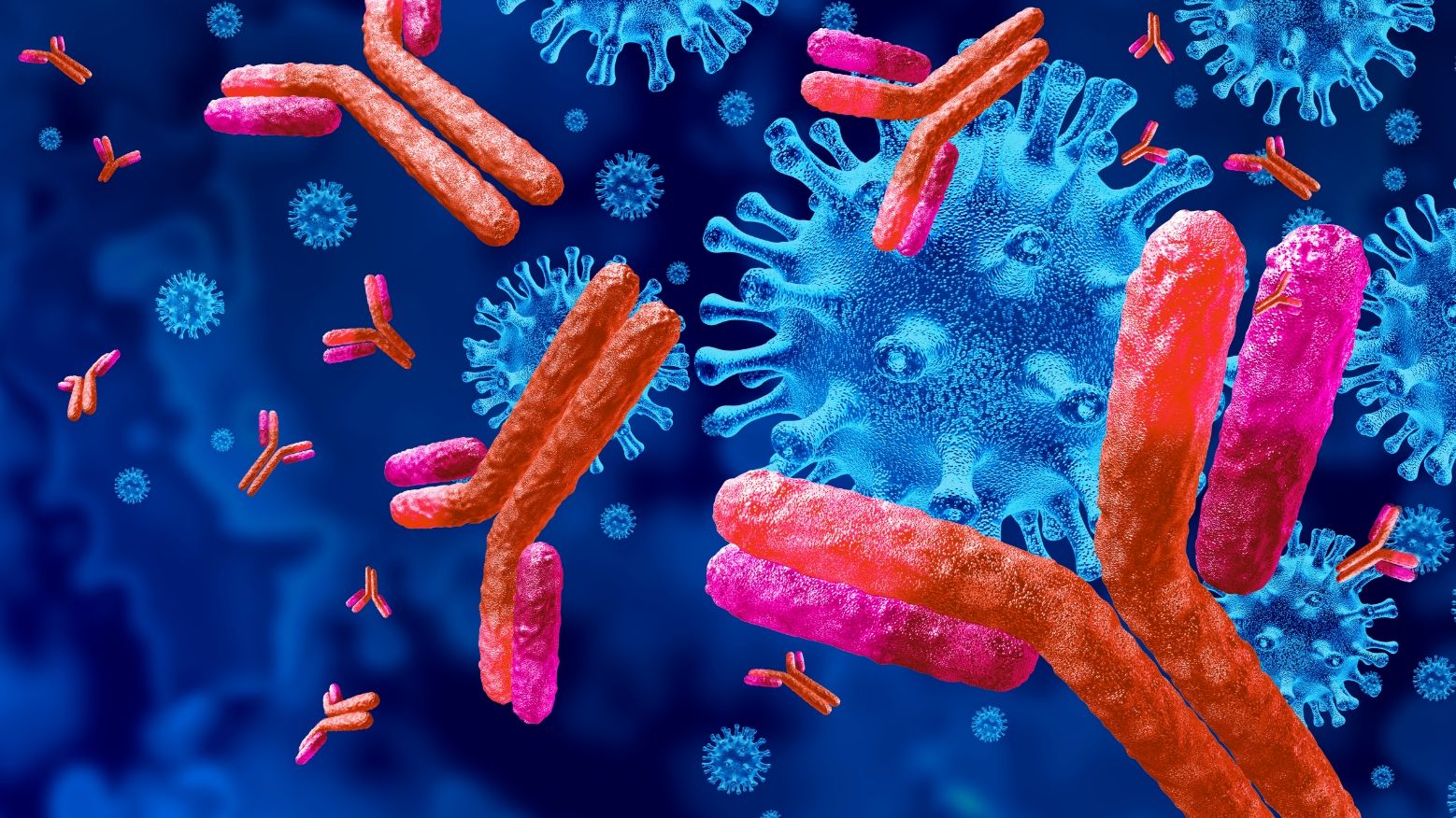 Beyond the mAb: Integrated CMC Strategies for Bispecific and Multispecific Antibody Development