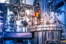 AdobeStock_263482965_Grispb_225.jpg