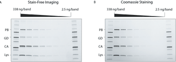 BP0916_proteinchar_Figure2_625.gif