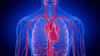 3d rendered medically accurate illustration of the human heart | Image credit: © Sebastian Kaulitzki - © Sebastian Kaulitzki - stock.adobe.com