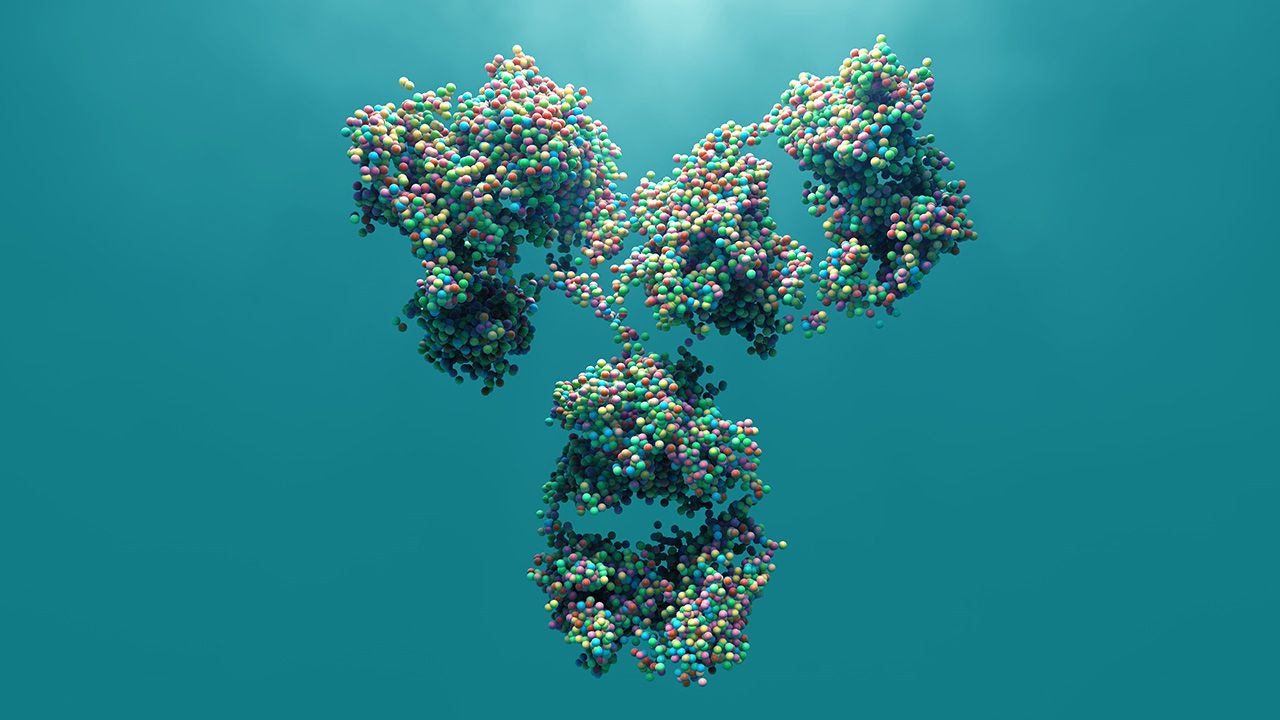 Antibody | Image credit: © Design Cells - © Design Cells - stock.adobe.com