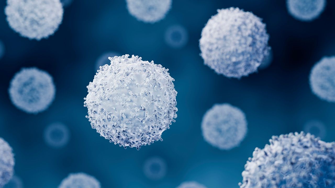 Lymphocytes such as T cells, B cells are part of the immune system | Image Credit: © Artur - © Artur - stock.adobe.com