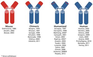 Morrow-Antibodies-Figure-2-804370-1408545032289.jpg