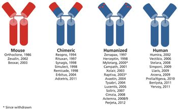 Morrow-Antibodies-Figure-2-804370-1408545032289.jpg