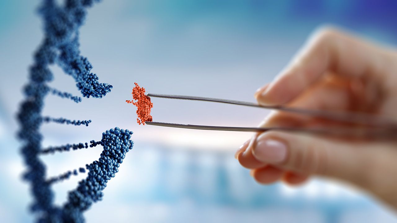 Sergey Nivens/Stock.Adobe.com - Complex hurdles complicate the development of cell and gene therapies.