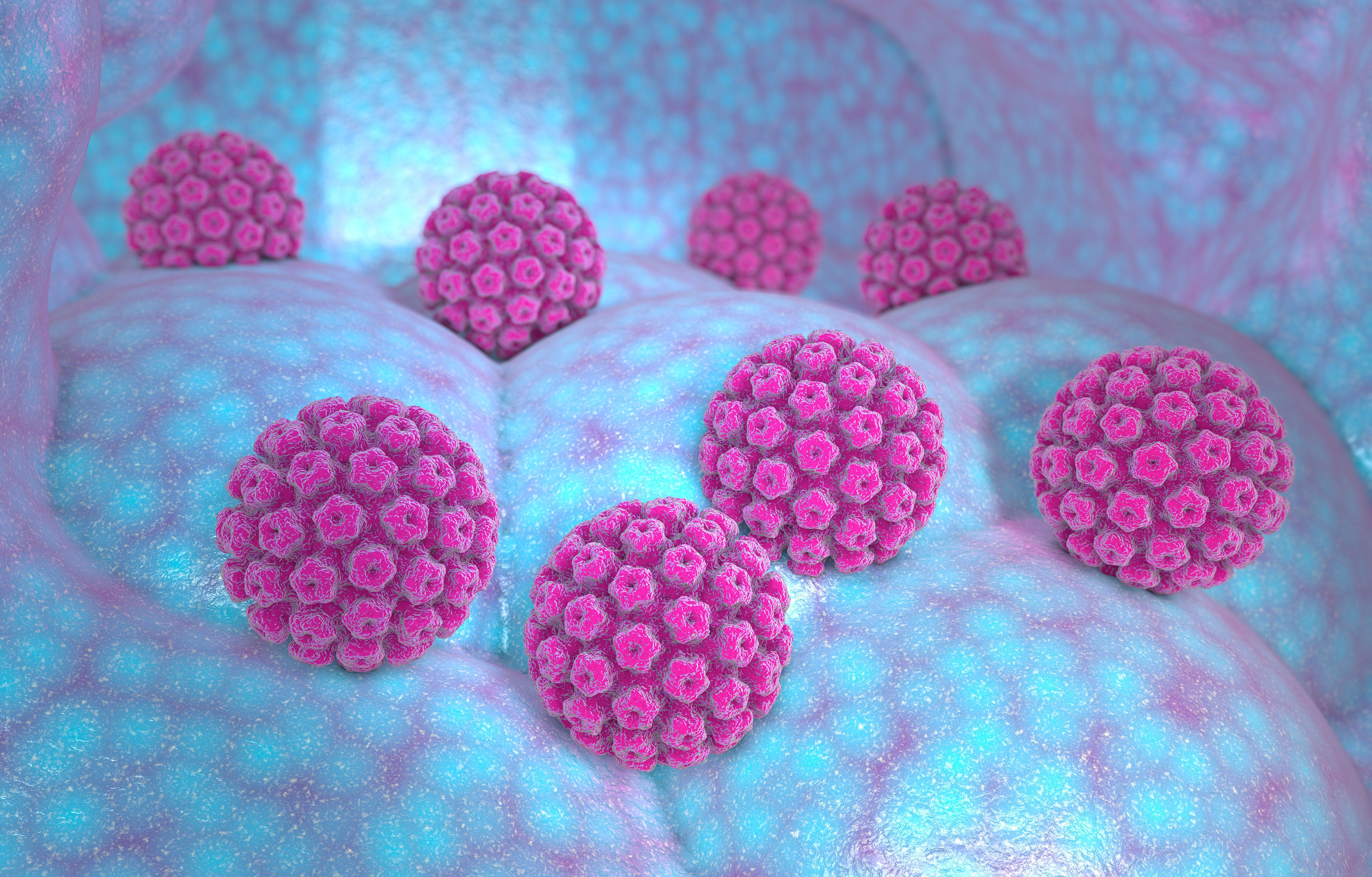 Human papillomavirus infection. Virus. HPV is the most common sexually transmitted infection globally. HPV infection is caused by human papillomavirus, a DNA virus from the papillomavirus family, 3d | Image Credit: © Naeblys - stock.adobe.com