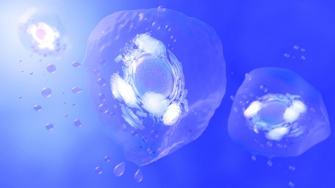 3D Rendering of Exosomes | Image Credit: © Alpha Tauri 3D - © Alpha Tauri 3D - stock.adobe.com