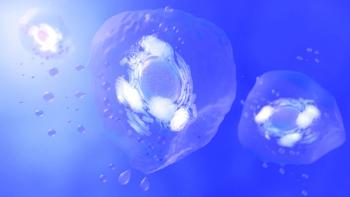 3D Rendering of Exosomes | Image Credit: © Alpha Tauri 3D - © Alpha Tauri 3D - stock.adobe.com